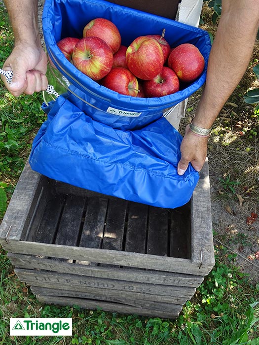 Panier de récolte